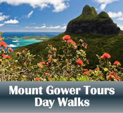 Mount Gower Day Walks